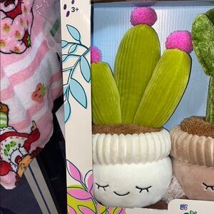 Russ greenhouse flowering Cactus Plush